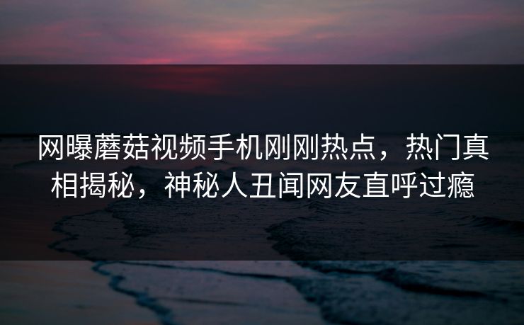 网曝蘑菇视频手机刚刚热点，热门真相揭秘，神秘人丑闻网友直呼过瘾